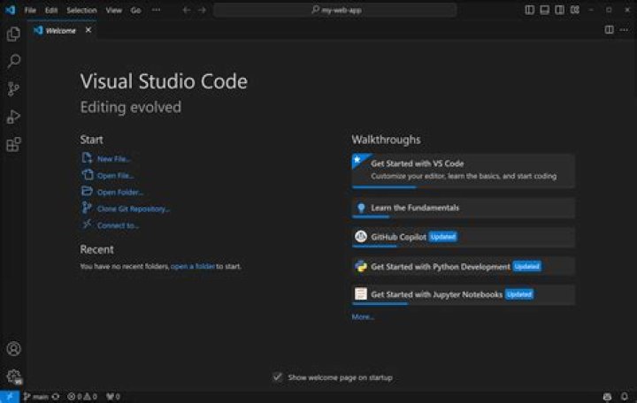 How do I use Visual Studio Team Foundation Server?