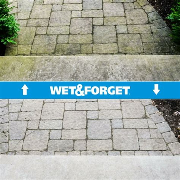 How do you dilute wet and forget