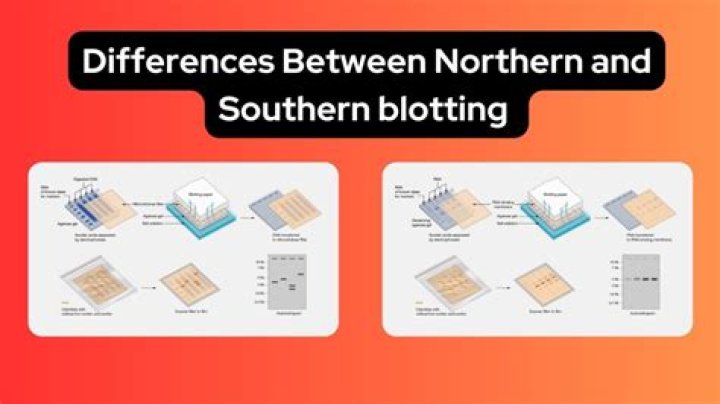 How is Northern blotting different from Southern blotting
