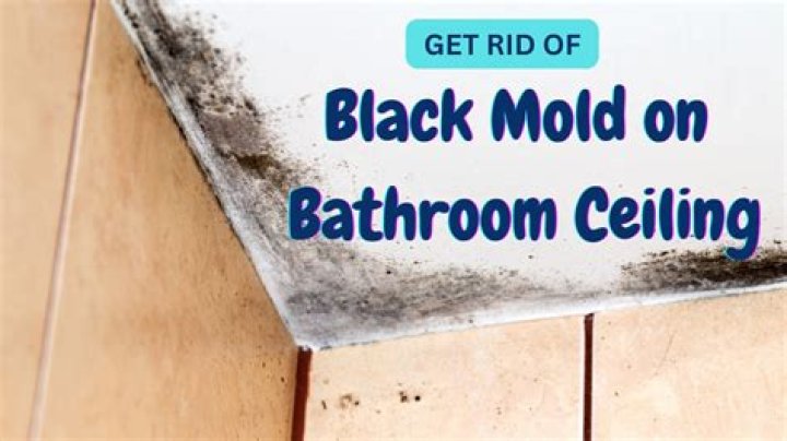Is black mold in bathroom harmful