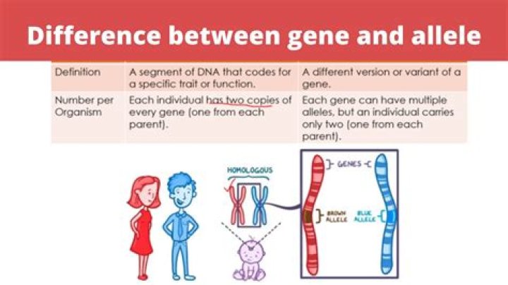 What does it tell us if two genes show the same levels of expression