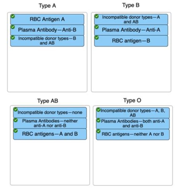 What information about an astronomical object can be determined by observing its spectrum