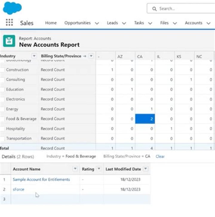 What is a matrix report in Salesforce