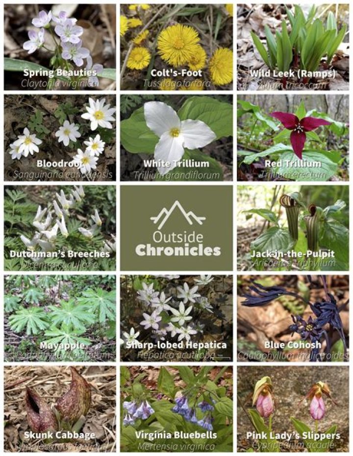 What is ephemeral in AWS