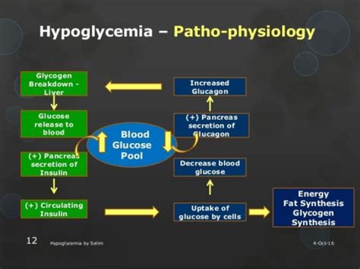 What is the pathophysiology of hypoglycemia