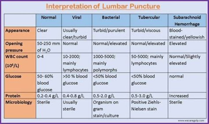 What should I do to prepare for a lumbar puncture