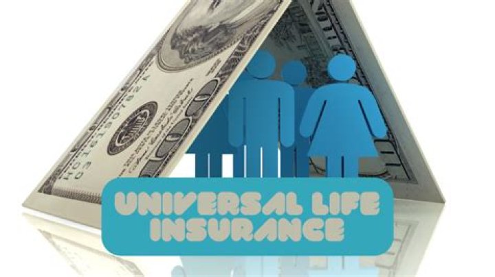 What type of life insurance incorporates flexible premiums and an adjustable death benefit