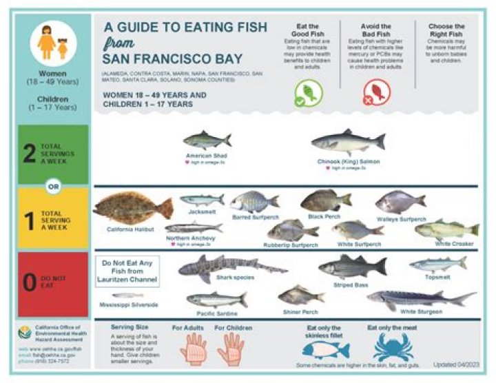 Where can I fish in San Francisco Bay